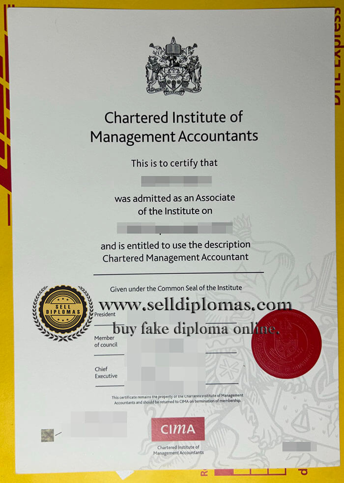 buy chartered institute of management accountants certificate