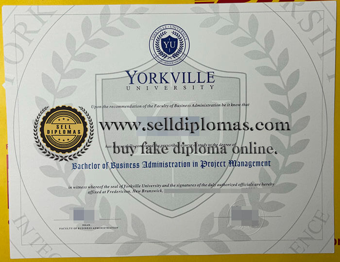 buy fake yorkville university diploma
