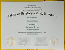 Sell fake California Polytechnic State University diploma