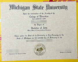 Buy fake Michigan State University diploma online.