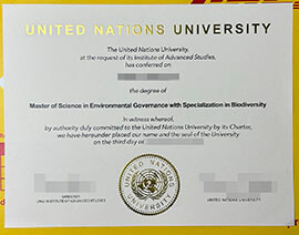 Buy fake united nations university diploma online.