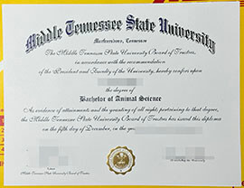 Buy fake middle tennessee state university diploma.