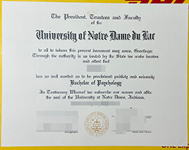 Where to buy fake University of Notre Dame diploma?