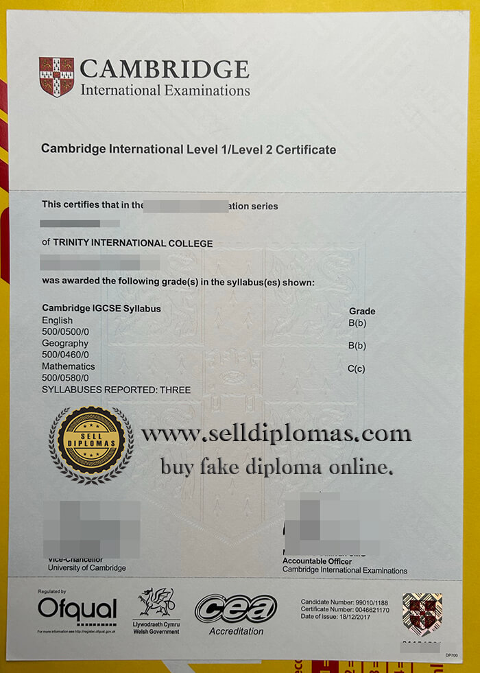 buy fake cambridge international examinations diploma