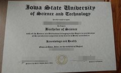 where to buy Iowa State University diploma certificate Bachelor’s degree？