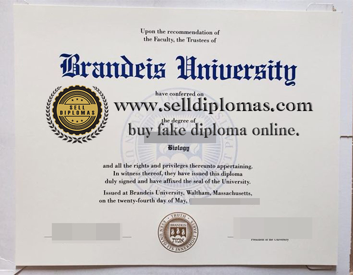 where to buy Brandeis University diploma certificate Bachelor’s degree？