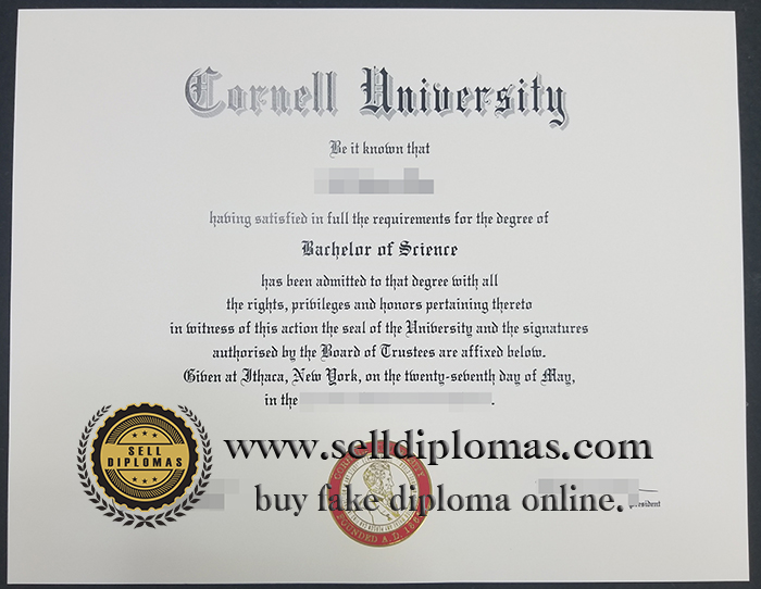 what university diploma certificates can buy?