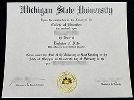 Sell ​​fake Michigan State University diploma online.